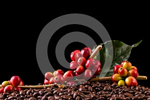 Coffee beans. On a wooden background rotation
