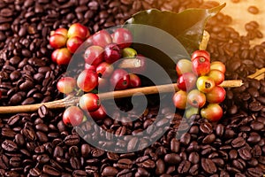 Coffee beans. On a wooden background rotation