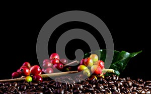 Coffee beans. On a wooden background rotation