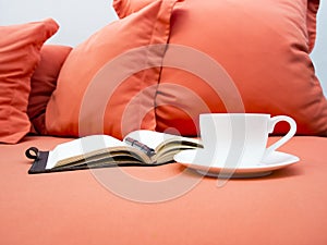 Coffee and Book on Sofa with pillows