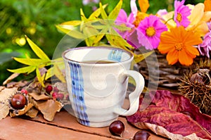 Coffee break in autumn garden