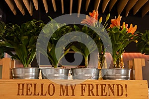 Coffee cafe decoration with tree pots, wooden box, bag and glass of coffee on shelf. Metal buckets with indoor plants in a wooden