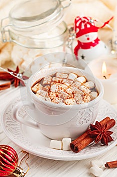 Coffee, cocoa, hot chocolate with marshmallows and cinnamon