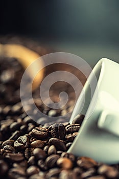 Coffee. Coffee beans. Coffee cup full of coffee beans. Toned image