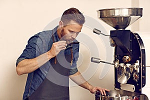 Coffee connoiseur checking freshly roasted beans for full aroma