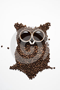 Coffee core owl