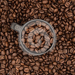 Coffee Cup Beans Background Social Media Square