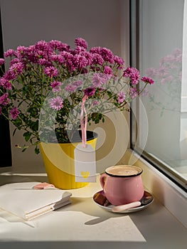 Coffee cup chocolate notebook beautiful pink autumn Chrysanthemum flowers in yellow pot on window. Cozy home