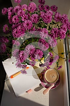 Coffee cup chocolate notebook beautiful pink autumn Chrysanthemum flowers in yellow pot on window. Cozy home