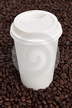 Coffee Cup on Coffee Beans
