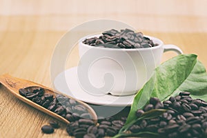 Coffee cup with coffee beans and coffee leaves