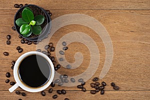 Coffee cup and coffee beans with small plant on wooden table background. Top view with copy space