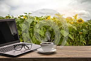 Coffee cup, eye glasses  and laptop on the wood texture on sun flower field background