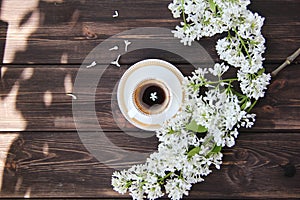 Coffee Cup and flowers of dandelions