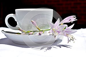 Coffee cup and flowers. photo