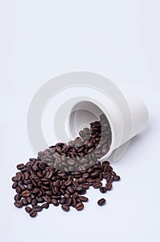 Coffee cup and grain on white background