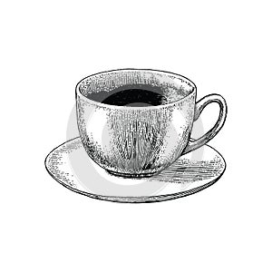 Coffee cup hand drawing engraving stlye.Coffee cup atique style photo