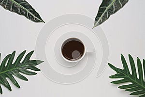 Coffee cup with leaves on white wooden background. Flat lay. Nature concept.