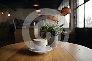 Coffee cup and plant adorn table in cozy coffee shop interior