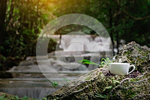 Coffee cup with smoke in coffee time on a cascadeview background