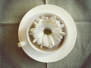 Coffee cup on table