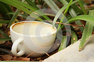 Coffee cup is then used on a green grass background.