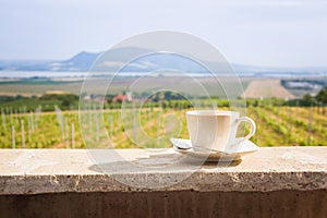 Coffee cup with a vineyard