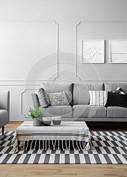 Coffee cups and green plant in pot on the low coffee table covered with striped tablecloth in modern living room designed in shade