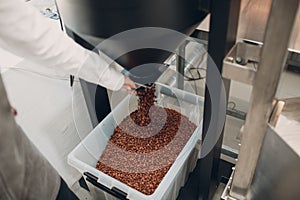 Coffee destoner machine at coffee roasting process