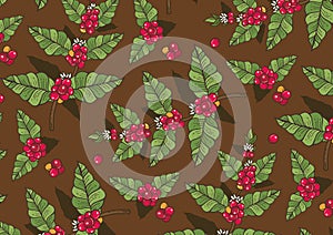 Coffee flowers and berries pattern Illustration