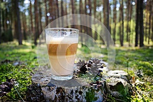 Coffee in the forest photo