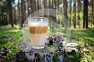 Coffee in the forest