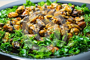 Coffee fried appetizing mussels on a dish, decorated with greenery.