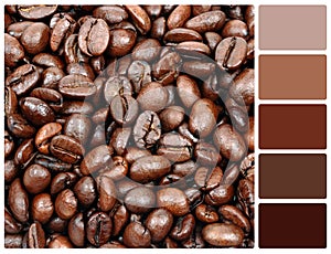 Coffee grain texture with palette color swatches