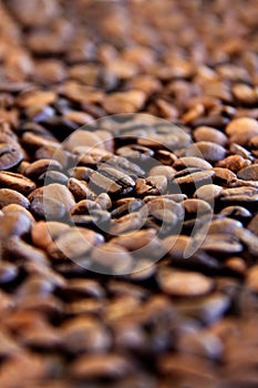 Coffee Grains