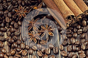 Coffee grains, anise and canella