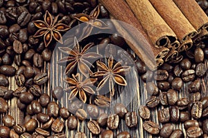 Coffee grains, anise and canella photo