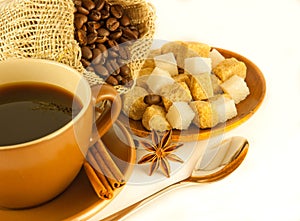Coffee grains with cinnamon and an anise