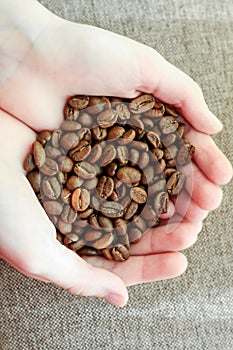 Coffee grains in hands a boy