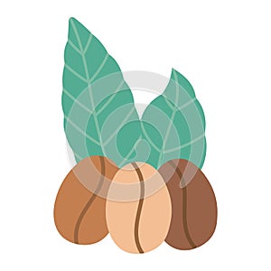 Coffee grains leaves organic nature isolated icon style