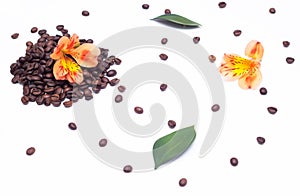 Coffee grains and orange hibiscus flower on a white background, coffee beans