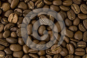 Coffee grains wallpaper XL