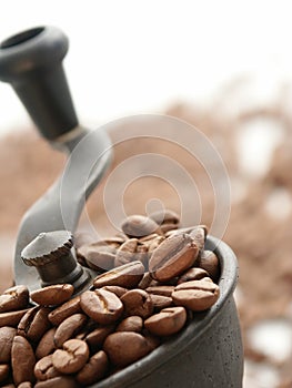 Coffee Grinder photo