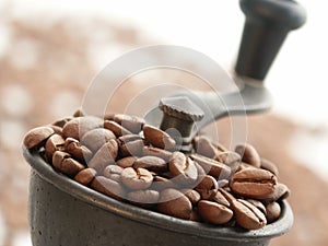 Coffee Grinder