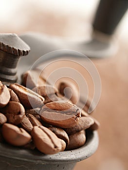 Coffee Grinder photo