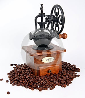 Coffee-grinder with coffee bins