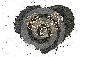 Coffee grounds and coffee bean, heart shape