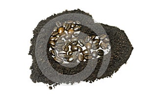 Coffee grounds and coffee bean, heart shape