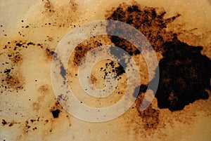 Coffee Grounds and Stains - Grunge