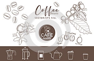 Coffee hand drawn elements and icon